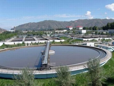 周邊傳動(dòng)刮吸泥機(jī)